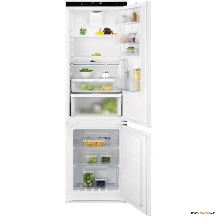 Electrolux ENT8TE18S3 (Šaldytuvas)